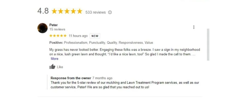 Screen shot of Google reviews for a business.